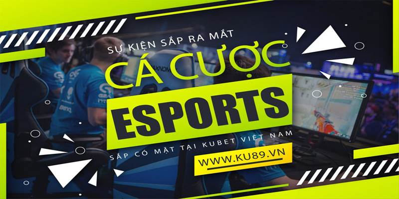 Tổng hợp kinh nghiệm chơi esport giúp bạn giành chiến thắng
